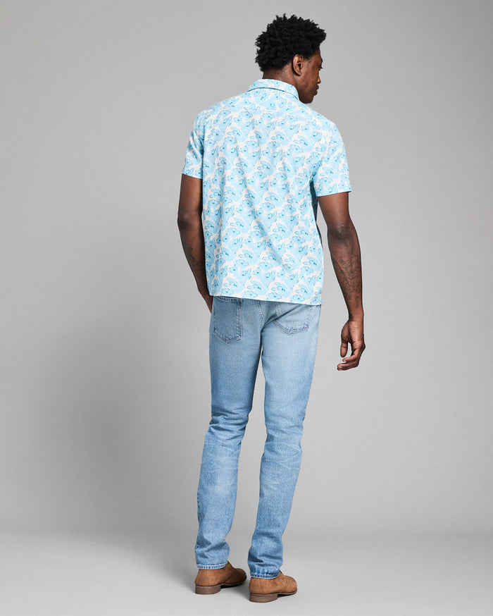 Man wearing a light blue patterned shirt and jeans on a gray background