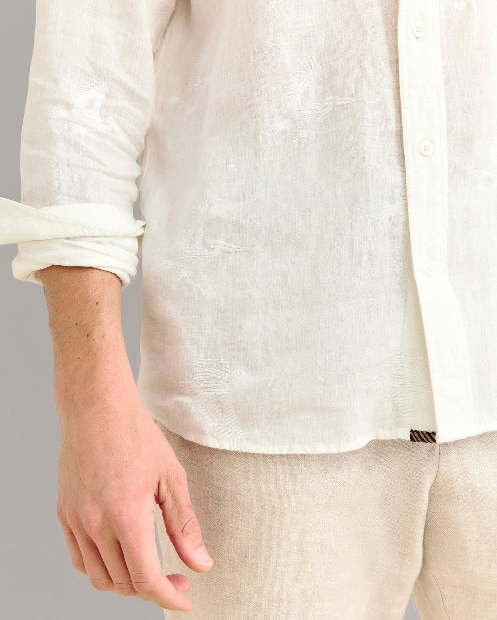 EMBROIDERED PELICAN SWARM RAGLAN SHIRT