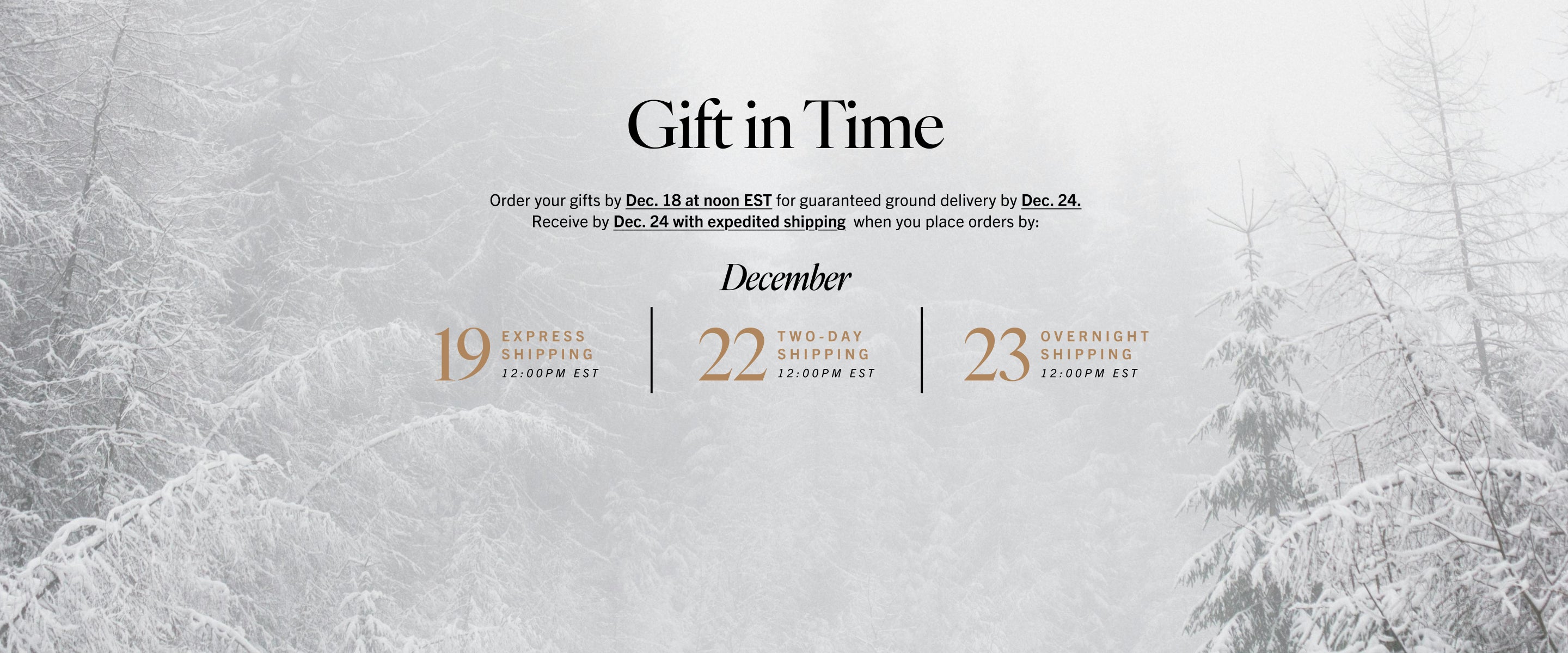 Gift in Time: Order Your Gifts by Dec 18 at Noon for ground shipping.