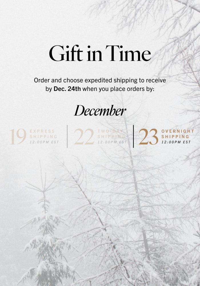 Promotional text for gift shipping deadlines with a snowy tree background. Reads: Gift in Time: Order and choose expedited shipping to receive by Dec. 24th when you place orders by: Dec 23 Overnight Shipping by 12 PM EST
