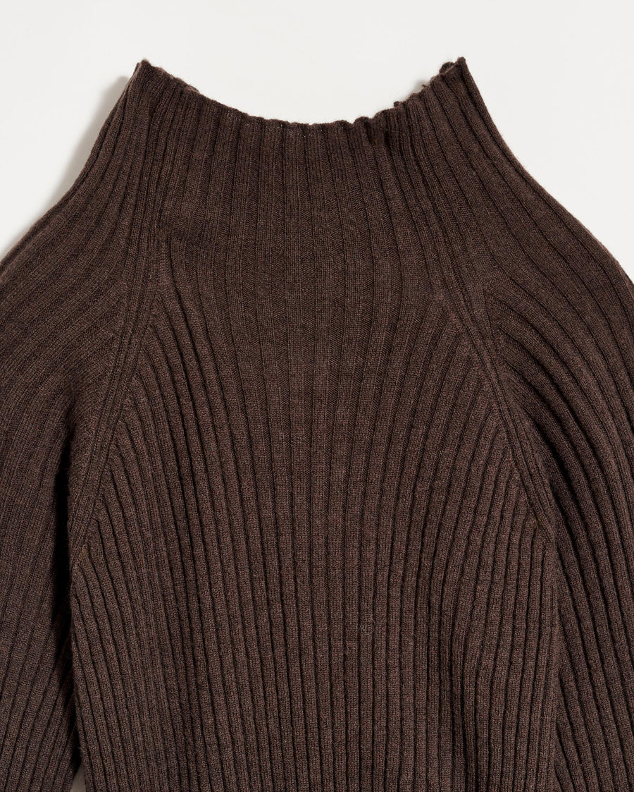 Turtleneck Sweater Dress in Coffee Bean