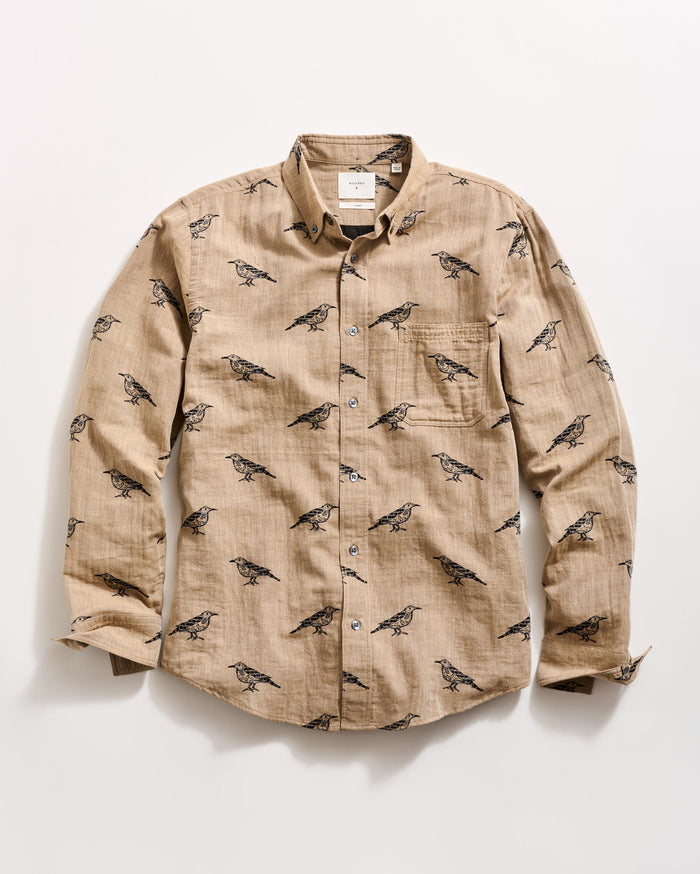 Flat photo of the shirt