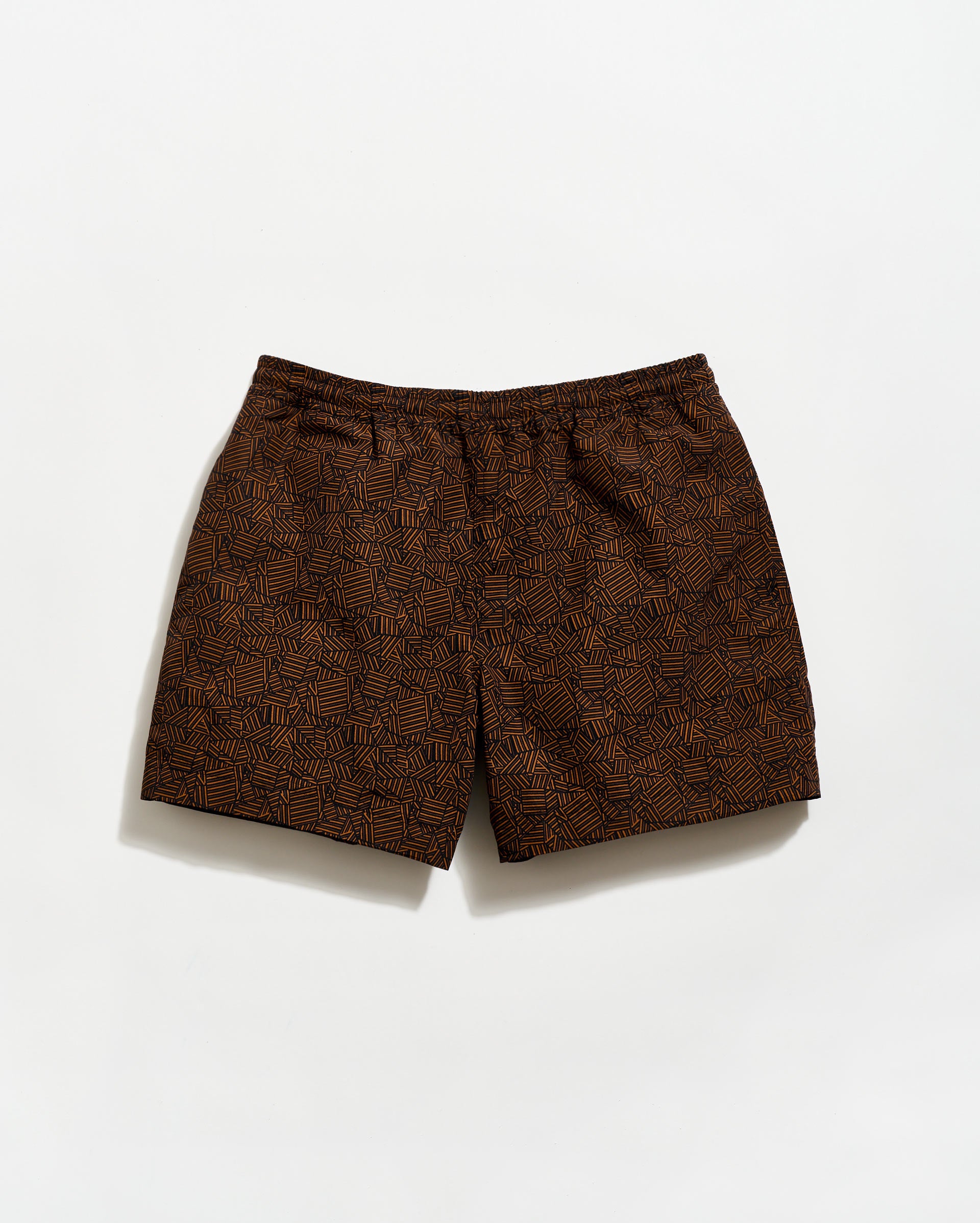Tossed Ribbon Swim Trunk