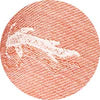 CLAY/NATURAL Swatch
